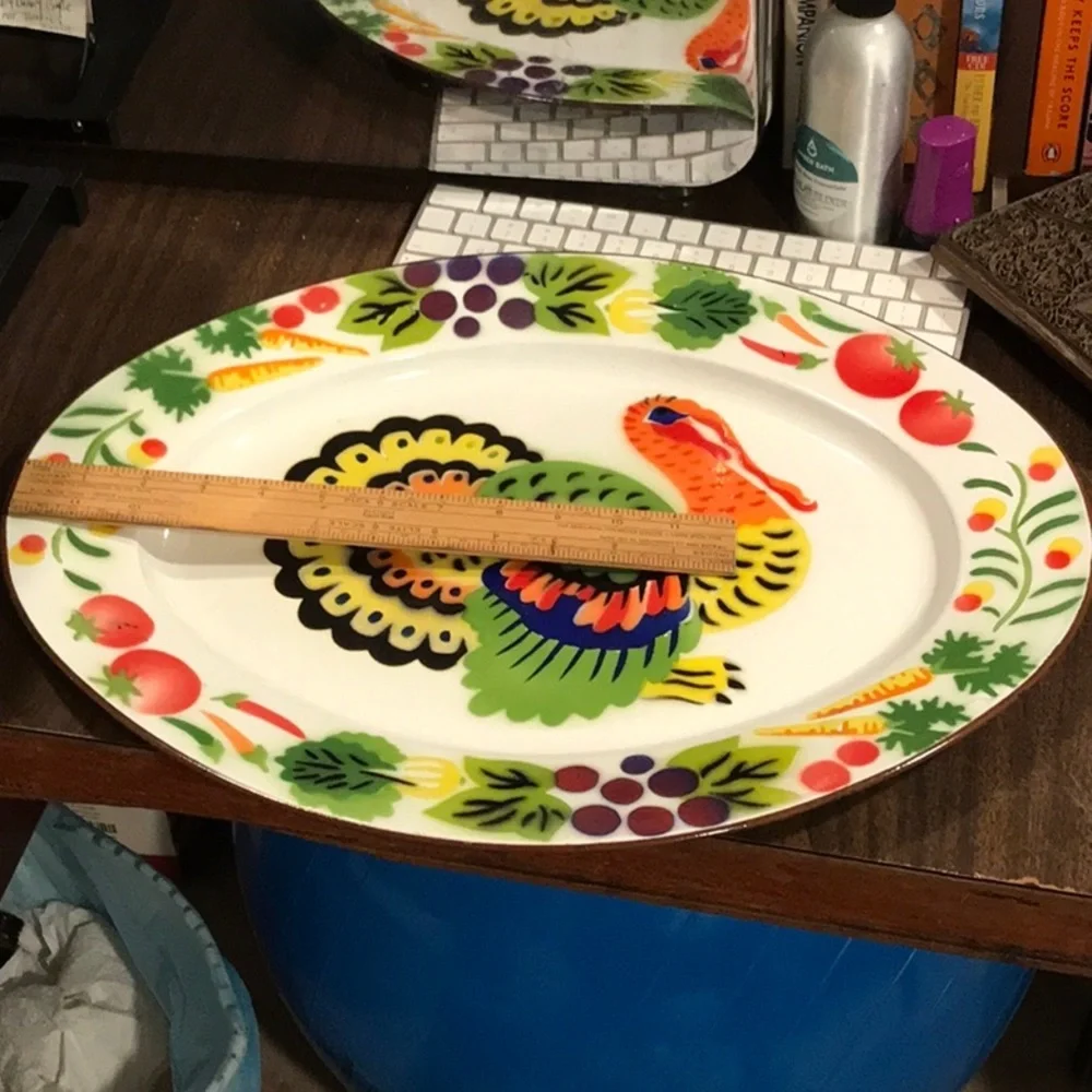 Turkey Enamelware Platter HUGE Oval Platter Bright Colors Texture HONG KONG